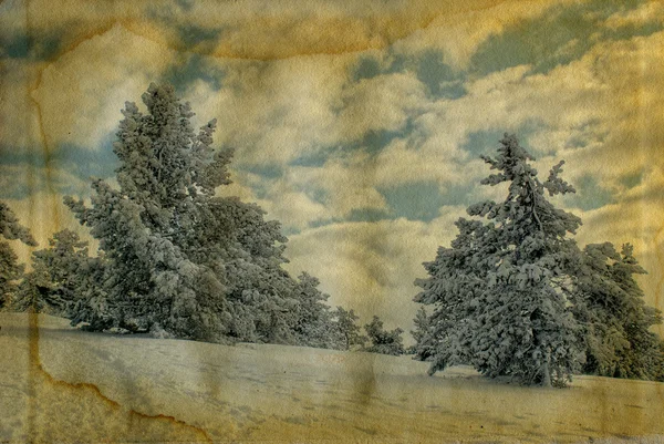 Inverno foto retro — Fotografia de Stock