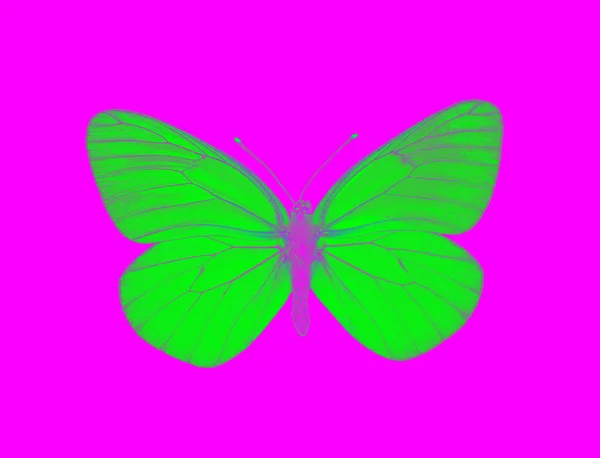 Außerirdischer Schmetterling — Stockfoto
