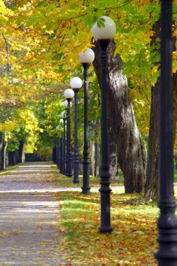 Autumn alley