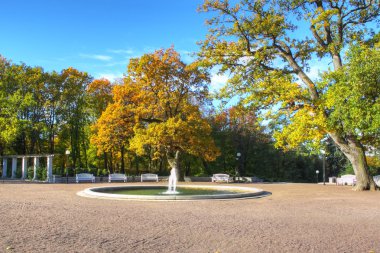 sonbahar park manzaralı