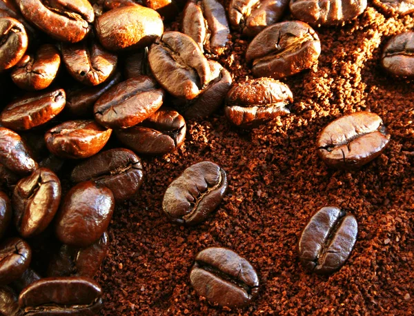 Heap of burnt arabica coffee beans — Stock Photo, Image