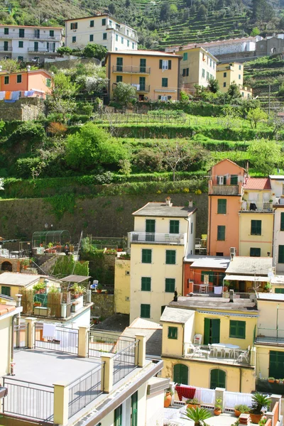 意大利。五渔村。多彩的房子里奥马焦雷村的 — 图库照片