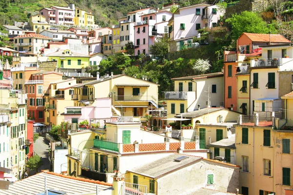 De Italia. Cinque Terre. Pueblo de Riomaggiore —  Fotos de Stock
