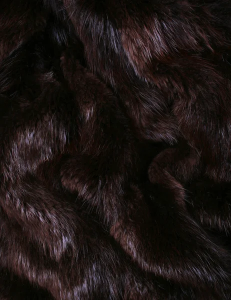 The brown fur of a beaver — Stock Photo, Image