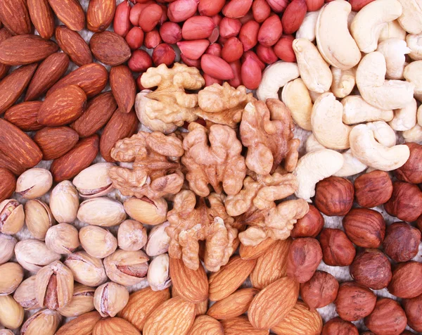 Filbert sortidas, amendoim, pistache, noz, amêndoas e avelã — Fotografia de Stock