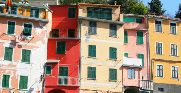İtalya. Cinque terre bölge. Riomaggiore renkli evleri — Stok fotoğraf