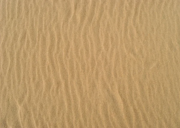 Текстура Песчаная Поверхность Рябью Образованной Ветром — стоковое фото