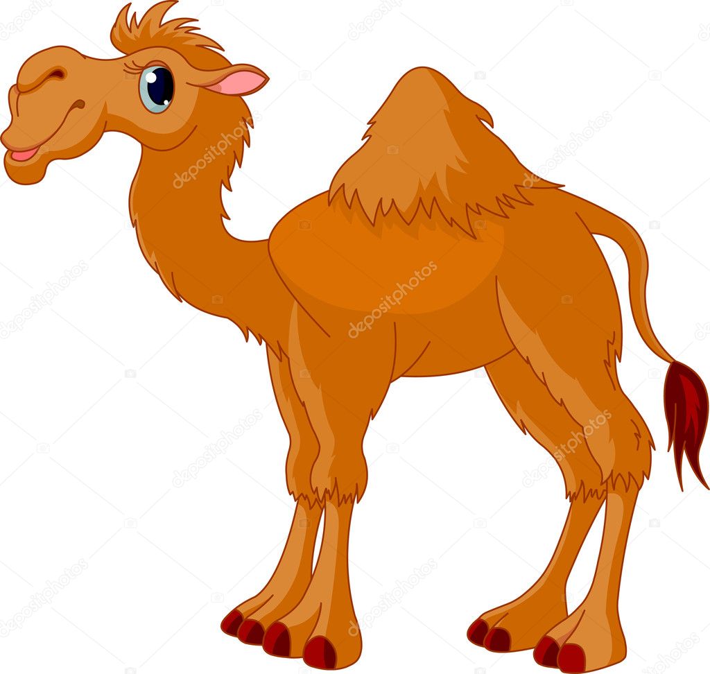 2,042 ilustraciones de stock de Lindo camello | Depositphotos®