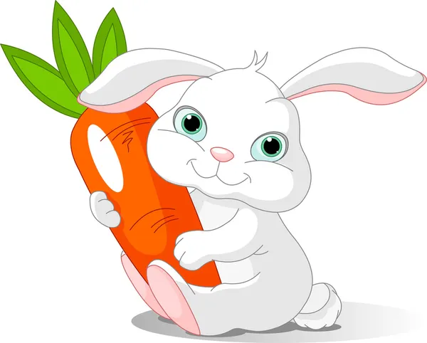 Rabbit holds giant carrot — Stock Vector