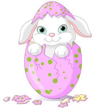 Cute Easter baby bunny hatched from one egg clipart