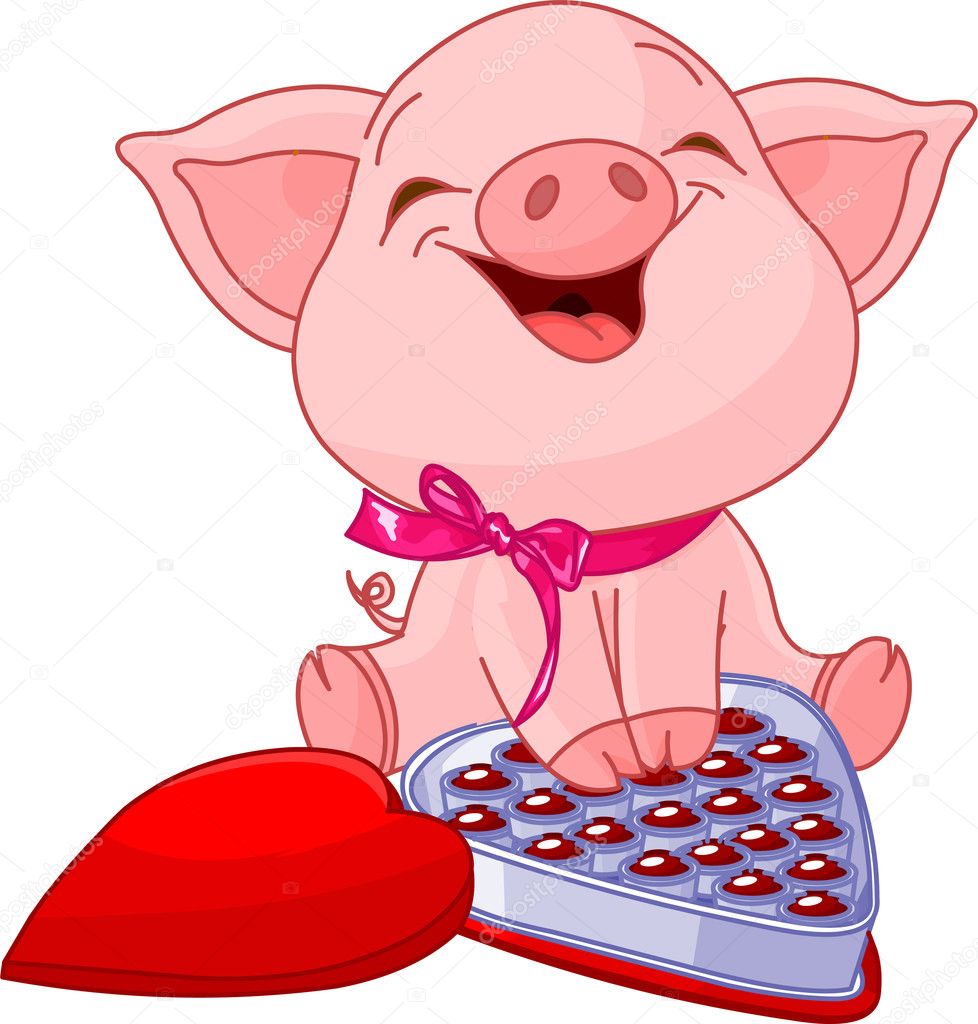Cute pretty pig at Valentines Day with chocolates