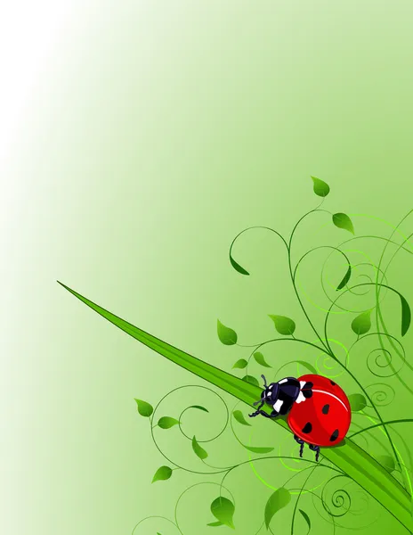 与植物和瓢虫绿色背景 — 图库矢量图片