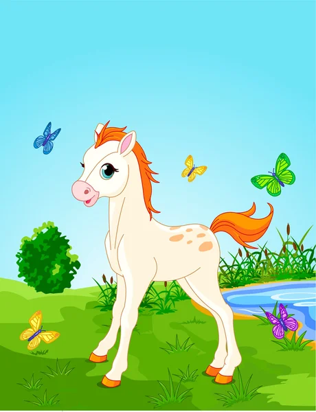 Horse foal in the meadow — Stock Vector