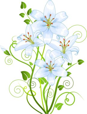 Lilly flower clipart
