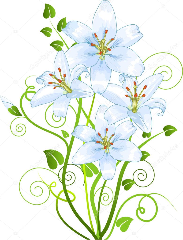 Lilly flower — Stock Vector © Dazdraperma #5317233