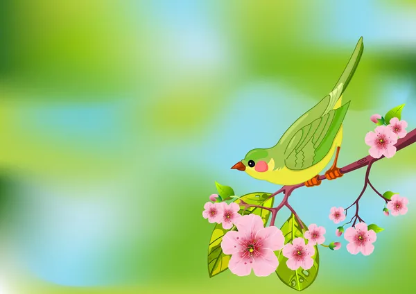 Весна птах фону — стоковий вектор