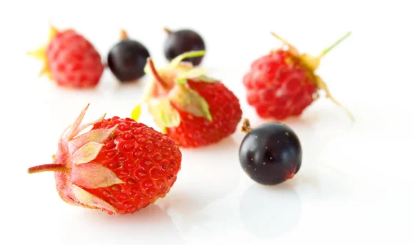 Berry mix. — Stock Photo, Image