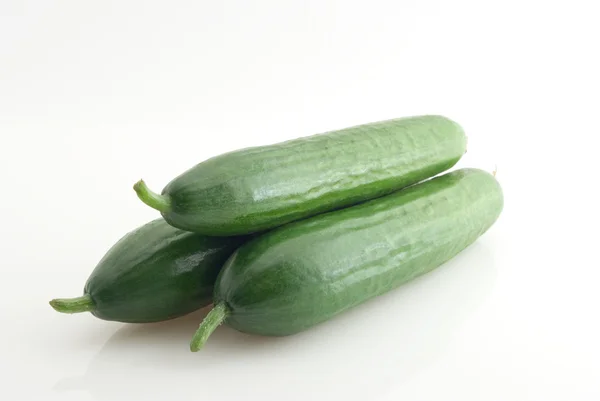 stock image Greater cucumber.