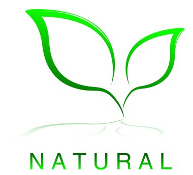 Vector Natural Design clipart