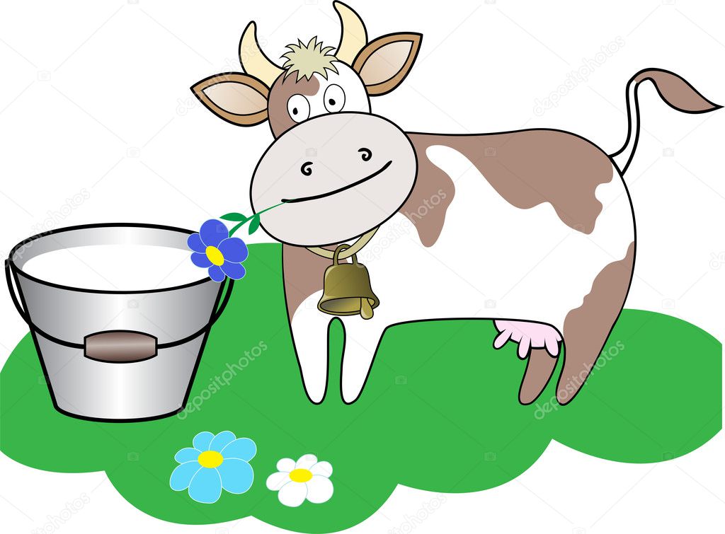 Cow chewing a flower beside a bucket of milk on a green lawn
