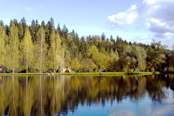 Hermoso lago de bosque con una casa para cisnes — Foto de Stock
