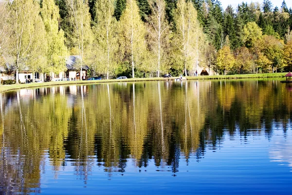 Hermoso lago bosque —  Fotos de Stock