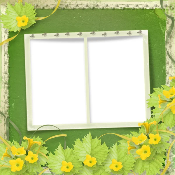 Grunge paper frames with flowers pumpkins and ribbons — Stock Photo, Image