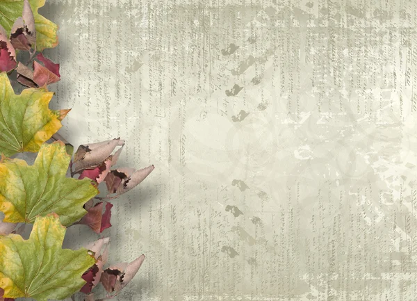 Дизайн гранжевих паперів у стилі скрапбукінгу з листям — стокове фото