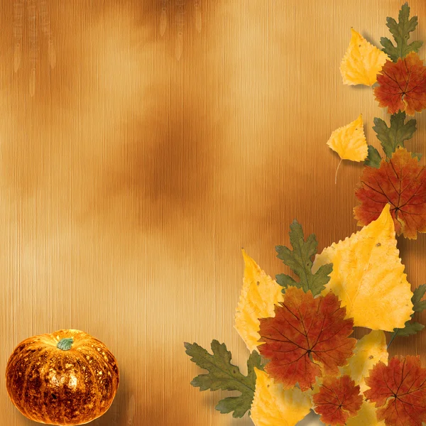 Grunge papier ontwerp in scrapbooking stijl met herfst gebladerte — Stockfoto
