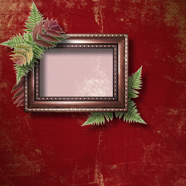 Abstract star background with wooden frame and bunch of fern — Stock Photo, Image