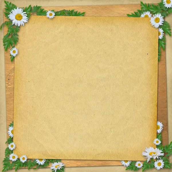 Grunge paper i scrapbooking stil med massa daisy — Stockfoto