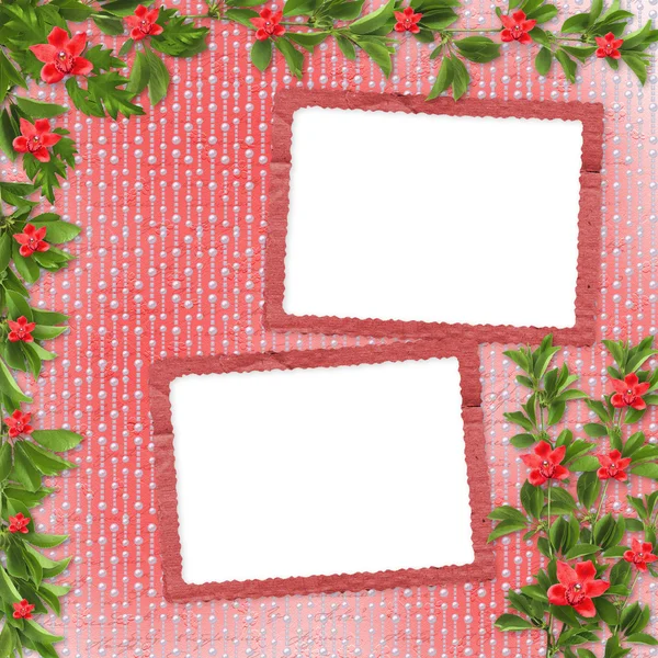 邀请或红色的兰花祝贺卡 — 图库照片