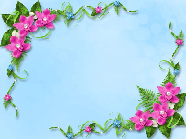 Karta zaproszenie lub gratulacje z niebieski i różowy storczyki — Zdjęcie stockowe