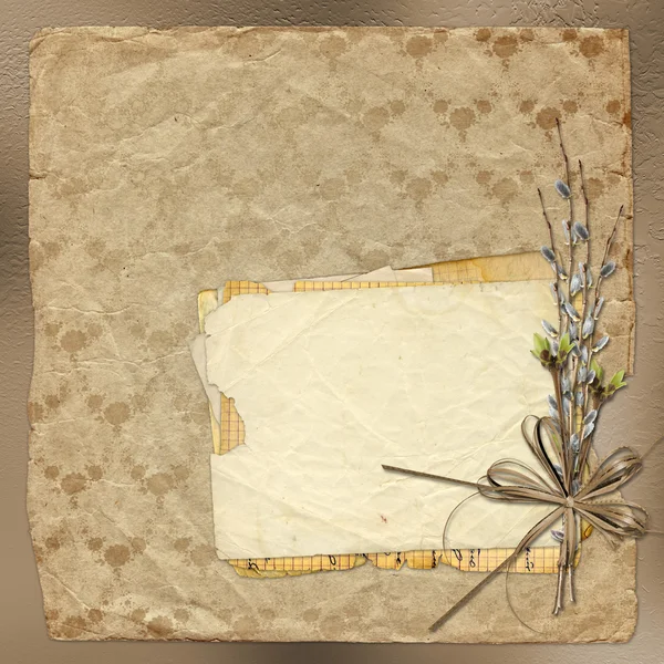 Vintage album with bunch of willow and bow — Stock Photo, Image