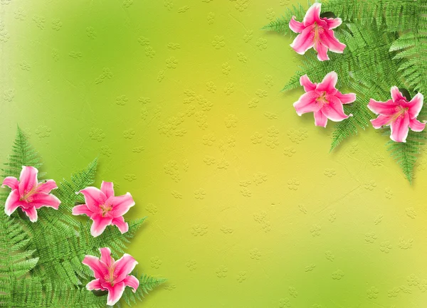 Card for invitation or congratulation with pink lilies — Stockfoto