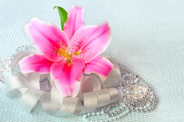 Hermosa flor de lirio rosa en el fondo textil de plata — Foto de Stock