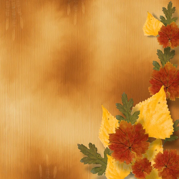 Grunge kağıt tasarımı sonbahar yaprakları ile yapıştırma kitabı tarzında — Stok fotoğraf