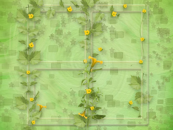 Grunge papier frames met bloemen pompoenen op de abstracte sterren — Stockfoto