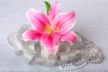 Gümüş Tekstil zemin üzerine güzel pembe lily çiçek