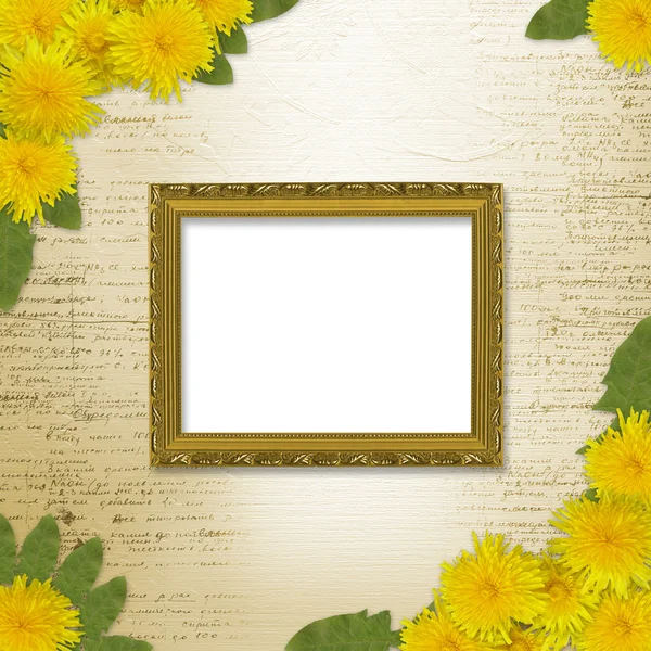 Writing abstract background with bunch of dandelions — Stock Photo, Image