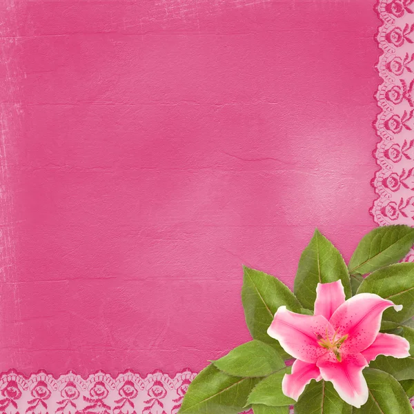 レースと抽象的な背景に美しいピンクのユリの花 — ストック写真