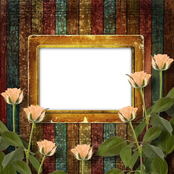 经风吹日晒的木制木板，上面有奶油美丽的玫瑰 — 图库照片