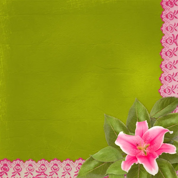 Hermosa flor de lirio rosa en el fondo abstracto con encaje — Foto de Stock