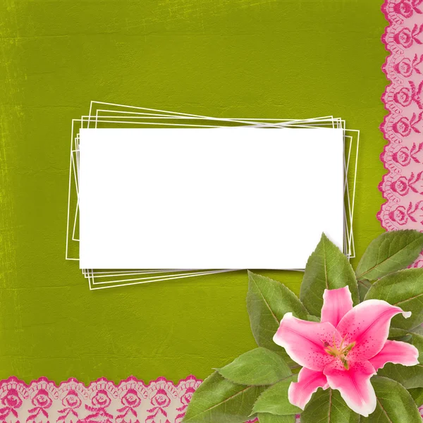 美丽的粉色百合花卉与花边的抽象背景 — 图库照片#