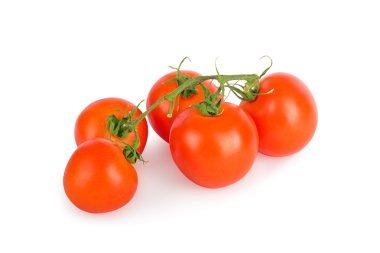 Tomatoes with a green branch isolated on a white background