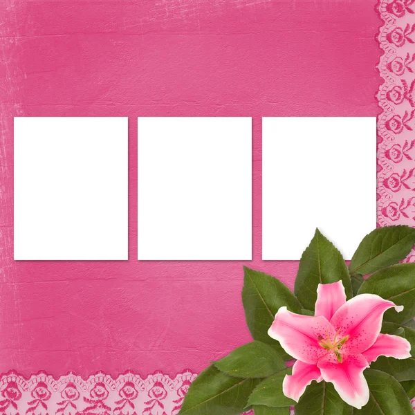 美丽的粉色百合花卉与花边的抽象背景 — 图库照片