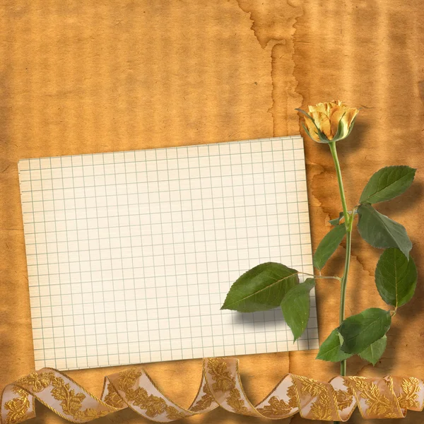 Grunge 纸的祝贺与美丽的玫瑰 — 图库照片