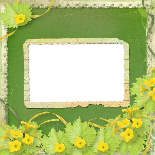 Nieczysty papier ramki z kwiaty dyni i wstążki — Zdjęcie stockowe