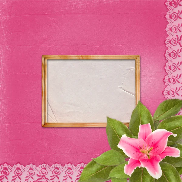 레이스와 추상적인 배경에 아름 다운 핑크 백합 꽃 — 스톡 사진