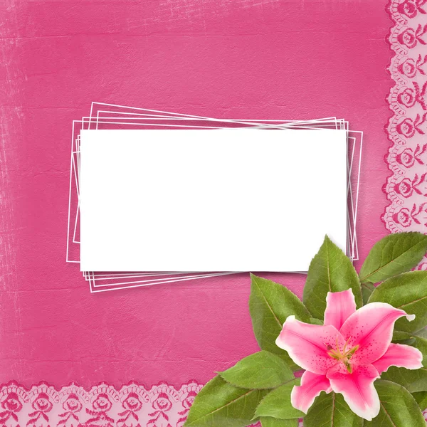 Красивый розовый цветок лилии на абстрактном фоне с кружевом — стоковое фото